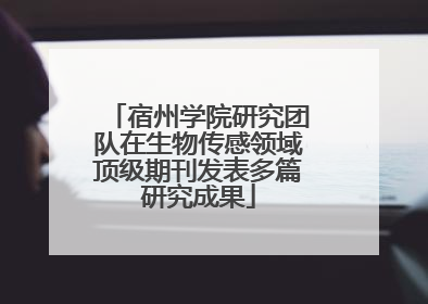 宿州学院研究团队在生物传感领域顶级期刊发表多篇研究成果