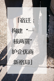 宿迁：构建“一核两翼”护企优商新格局