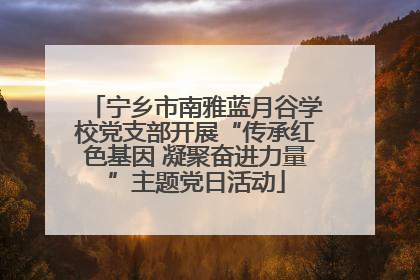 宁乡市南雅蓝月谷学校党支部开展“传承红色基因 凝聚奋进力量”主题党日活动