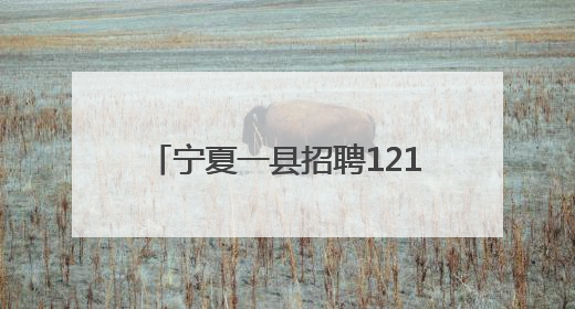宁夏一县招聘121名社区工作者：“零彩礼”“低彩礼”新婚夫妇可享笔试加分