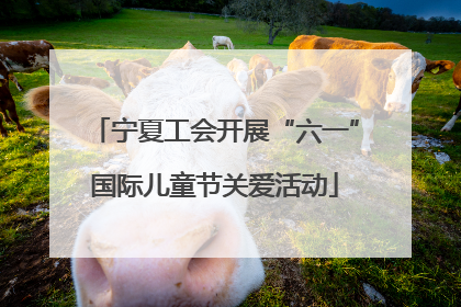 宁夏工会开展“六一”国际儿童节关爱活动