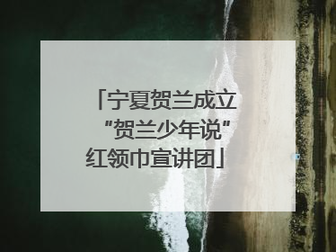 宁夏贺兰成立“贺兰少年说”红领巾宣讲团