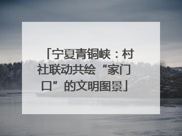 宁夏青铜峡：村社联动共绘“家门口”的文明图景