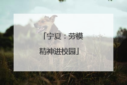 宁夏：劳模精神进校园