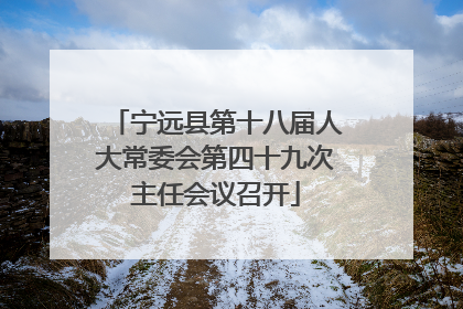 宁远县第十八届人大常委会第四十九次主任会议召开