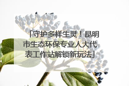 守护多样生灵！昆明市生态环保专业人大代表工作站解锁新玩法