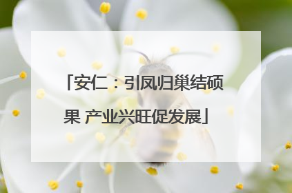 安仁：引凤归巢结硕果 产业兴旺促发展