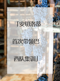 安切洛蒂首次带领巴西队集训