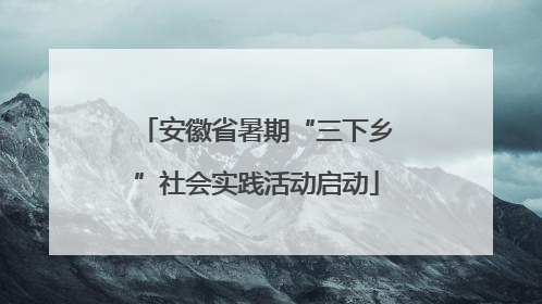安徽省暑期“三下乡”社会实践活动启动