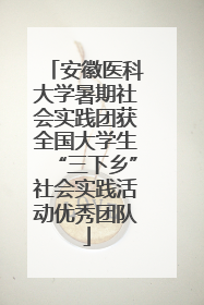 安徽医科大学暑期社会实践团获全国大学生“三下乡”社会实践活动优秀团队