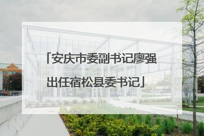 安庆市委副书记廖强出任宿松县委书记