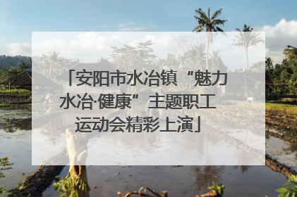 安阳市水冶镇“魅力水冶·健康”主题职工运动会精彩上演
