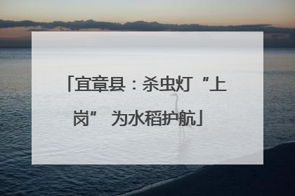 宜章县：杀虫灯“上岗” 为水稻护航