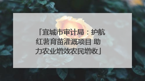 宜城市审计局：护航红薯育苗灌溉项目 助力农业增效农民增收