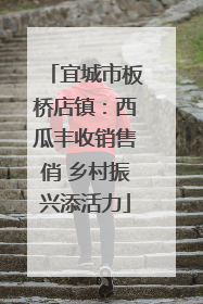 宜城市板桥店镇：西瓜丰收销售俏 乡村振兴添活力