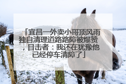 宜昌一外卖小哥顶风雨独自清理道路路障被爆赞，目击者：我还在犹豫他已经停车清障了