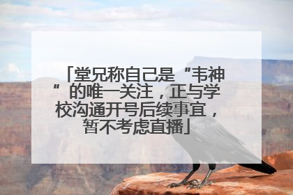 堂兄称自己是“韦神”的唯一关注，正与学校沟通开号后续事宜，暂不考虑直播