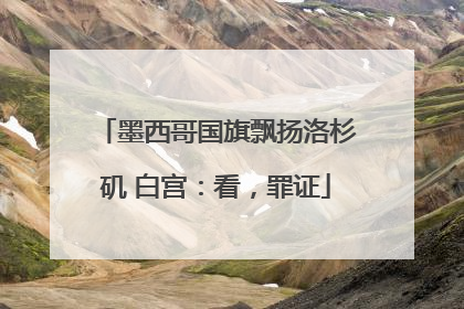 墨西哥国旗飘扬洛杉矶 白宫：看，罪证