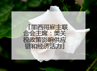 墨西哥雇主联合会主席：美关税政策影响供应链和经济活力