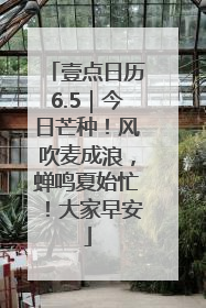 壹点日历6.5｜今日芒种！风吹麦成浪，蝉鸣夏始忙！大家早安
