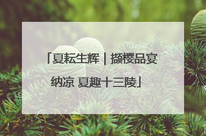 夏耘生辉｜撷樱品宴纳凉 夏趣十三陵