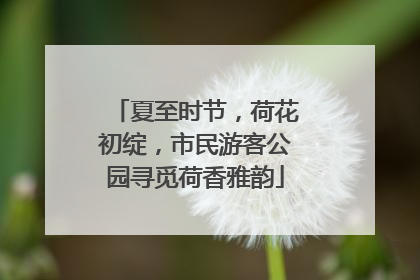 夏至时节，荷花初绽，市民游客公园寻觅荷香雅韵