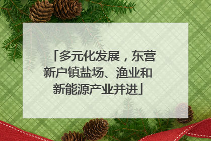 多元化发展，东营新户镇盐场、渔业和新能源产业并进