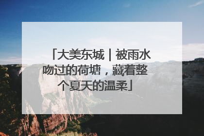 大美东城｜被雨水吻过的荷塘，藏着整个夏天的温柔