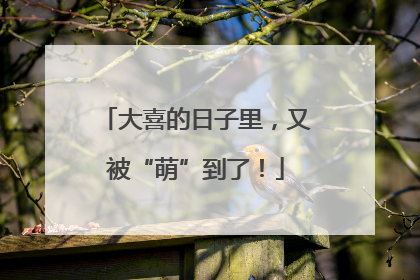 大喜的日子里，又被“萌”到了！