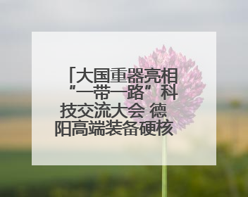 大国重器亮相“一带一路”科技交流大会 德阳高端装备硬核成果彰显实力