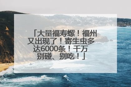 大量福寿螺！福州又出现了！寄生虫多达6000条！千万别碰、别吃！