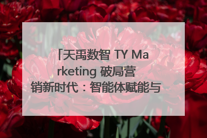 天禹数智 TY Marketing 破局营销新时代：智能体赋能与人才培育双轮驱动