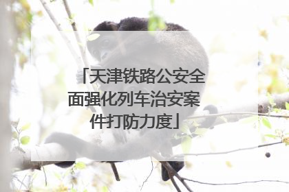 天津铁路公安全面强化列车治安案件打防力度