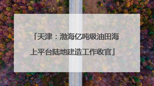 天津：渤海亿吨级油田海上平台陆地建造工作收官