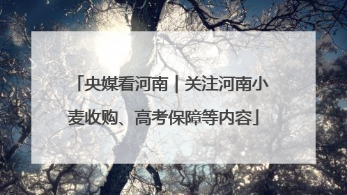 央媒看河南｜关注河南小麦收购、高考保障等内容