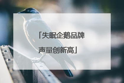 失眠企鹅品牌声量创新高