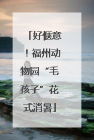 好惬意！福州动物园“毛孩子”花式消暑