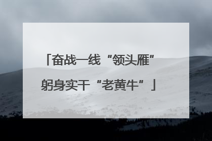 奋战一线“领头雁” 躬身实干“老黄牛”
