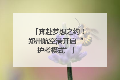 奔赴梦想之约！郑州航空港开启“护考模式”