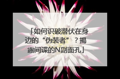 如何识破潜伏在身边的“伪装者”？揭露间谍的N副面孔