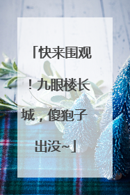 快来围观！九眼楼长城，傻狍子出没~