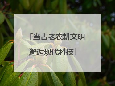 当古老农耕文明邂逅现代科技