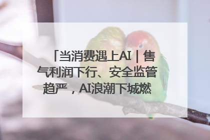 当消费遇上AI｜售气利润下行、安全监管趋严，AI浪潮下城燃企业如何破局