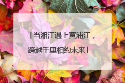 当湘江遇上黄浦江，跨越千里相约未来