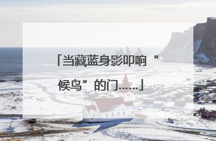 当藏蓝身影叩响“候鸟”的门……