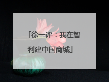徐一评：我在智利建中国商城
