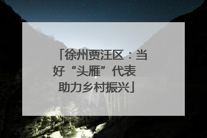 徐州贾汪区：当好“头雁”代表 助力乡村振兴