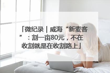 微纪录｜威海“新麦客”：割一亩80元，不在收割就是在收割路上