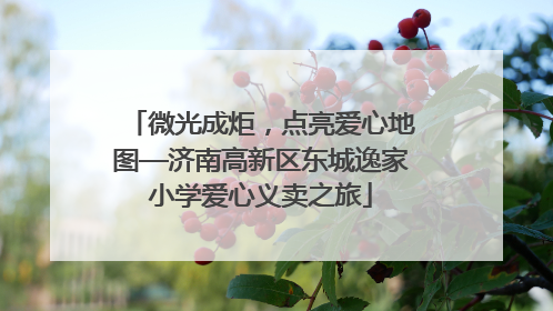微光成炬，点亮爱心地图—济南高新区东城逸家小学爱心义卖之旅