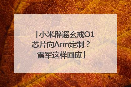 小米辟谣玄戒O1芯片向Arm定制？雷军这样回应